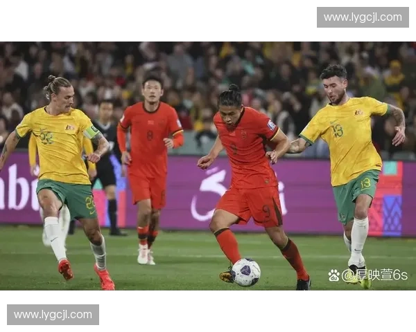 2019世界杯精彩回顾与各支球队表现深度解析